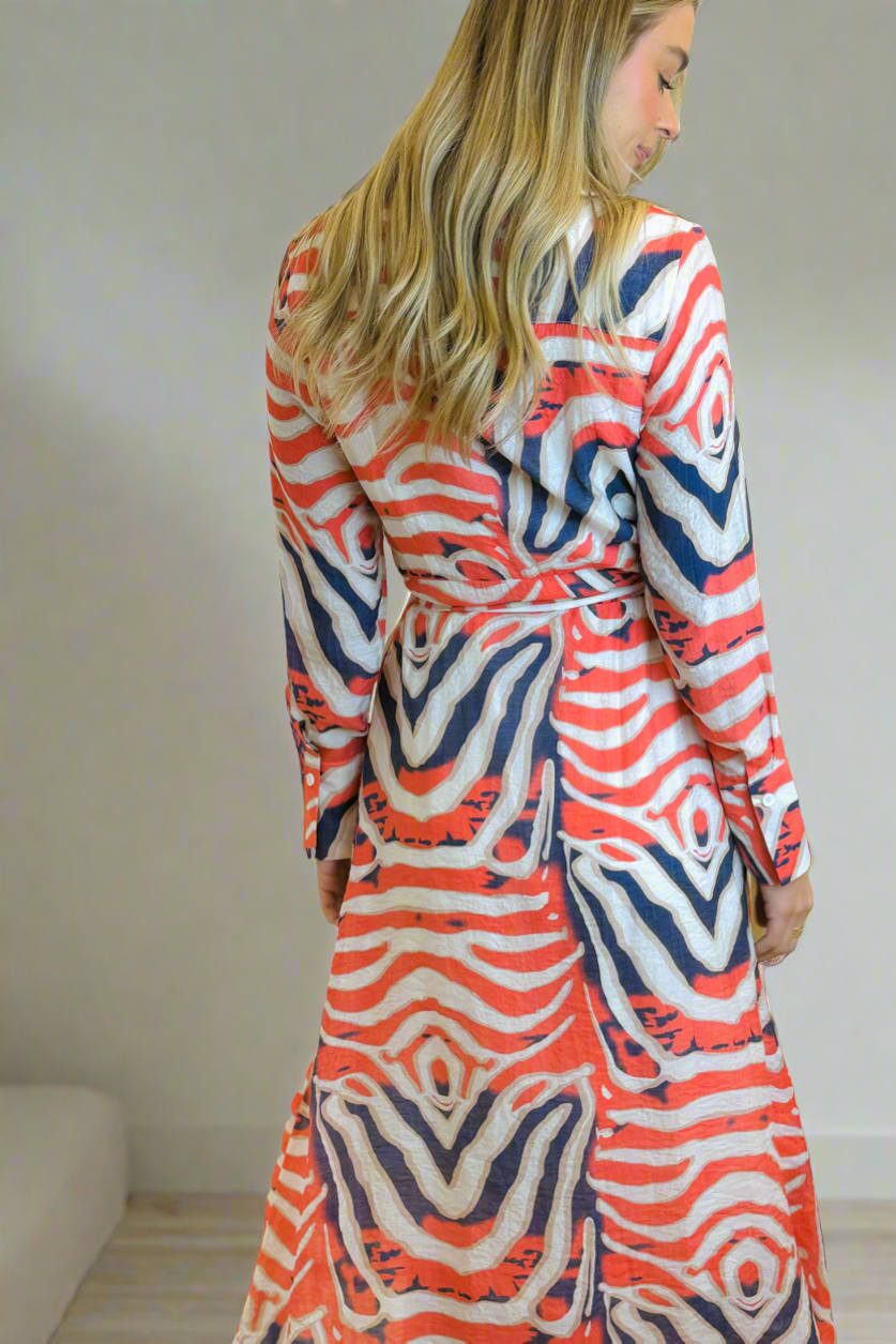 Allumbra  Long Sleeve  Shirt Dress in Tiger Print