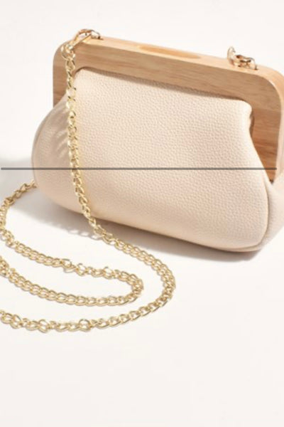 Lou Lou Bag Small Size with Gold Long Cross Body Chain