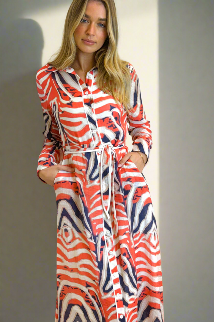 Allumbra  Long Sleeve  Shirt Dress in Tiger Print